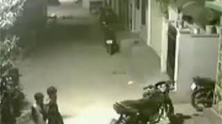 Pertarungan Sengit Manusia Dengan Anjing Galak Pertarungan Sengit Manusia Dengan Anjing Galak