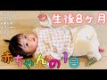 生後8ヶ月 赤ちゃんの1日 A Day In The Life Of An 8 Month Old Baby