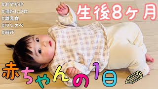 【生後8ヶ月】赤ちゃんの1日/A day in the life of an 8 month old baby