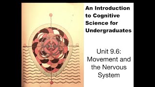 Unit 9.6: Movement and the Nervous System