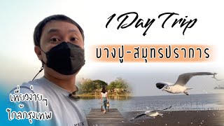 บางปู 1 Day trip : ร้านอาหาร-คาเฟ่ บรรยากาศดี ดูฟรีนกนางนวล