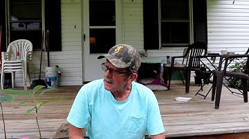 More pawpaw grafting observations