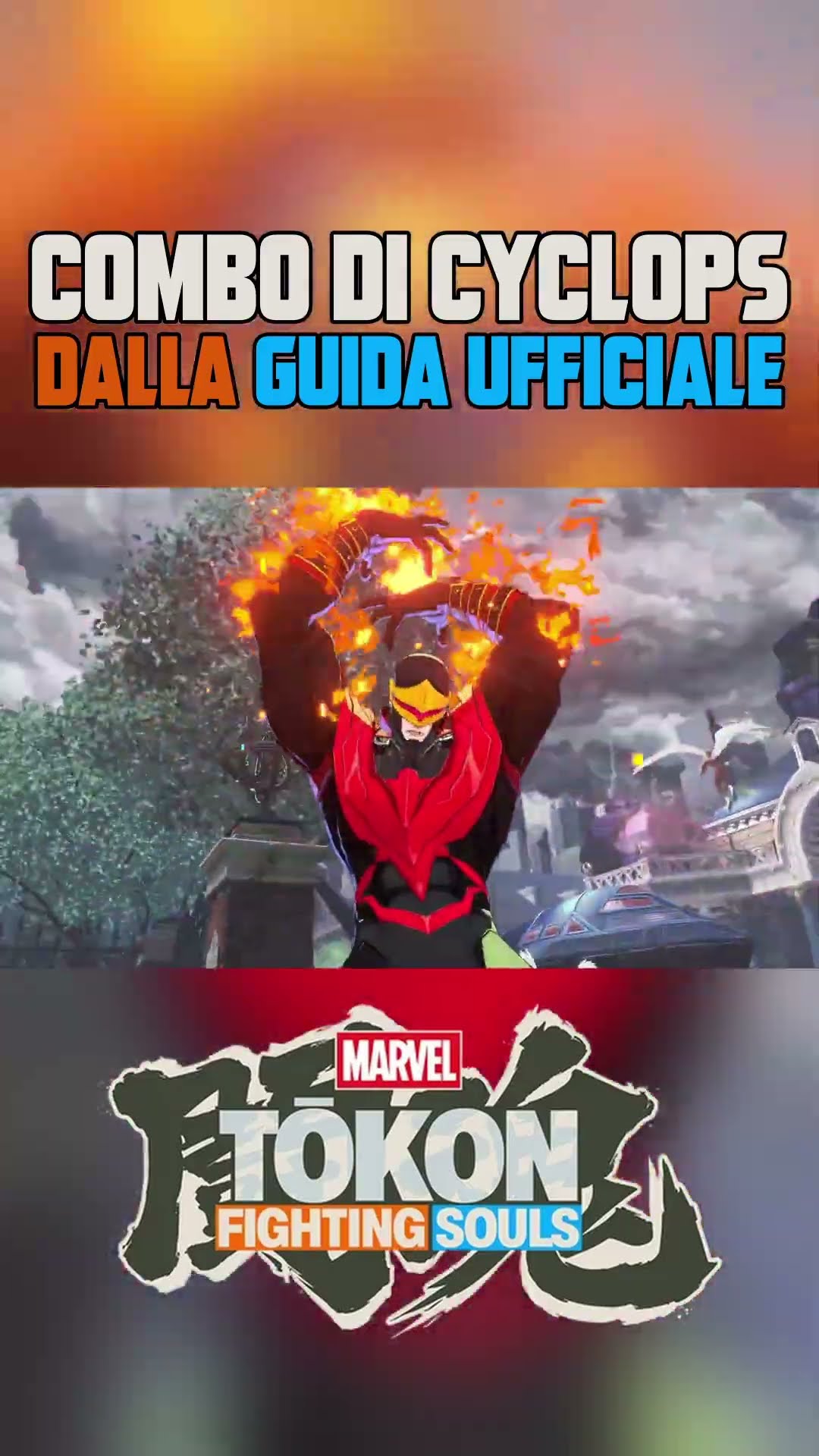 Guide di Tokon con la salsa ottica