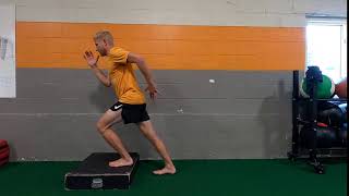 Famous Single Leg Reverse Step Down Wealth