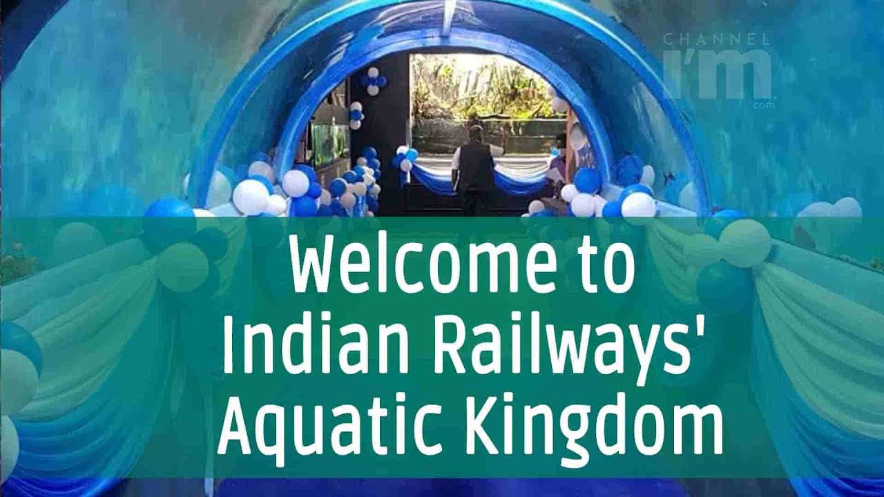 Indian Railways opens first movable freshwater tunnel aquarium in