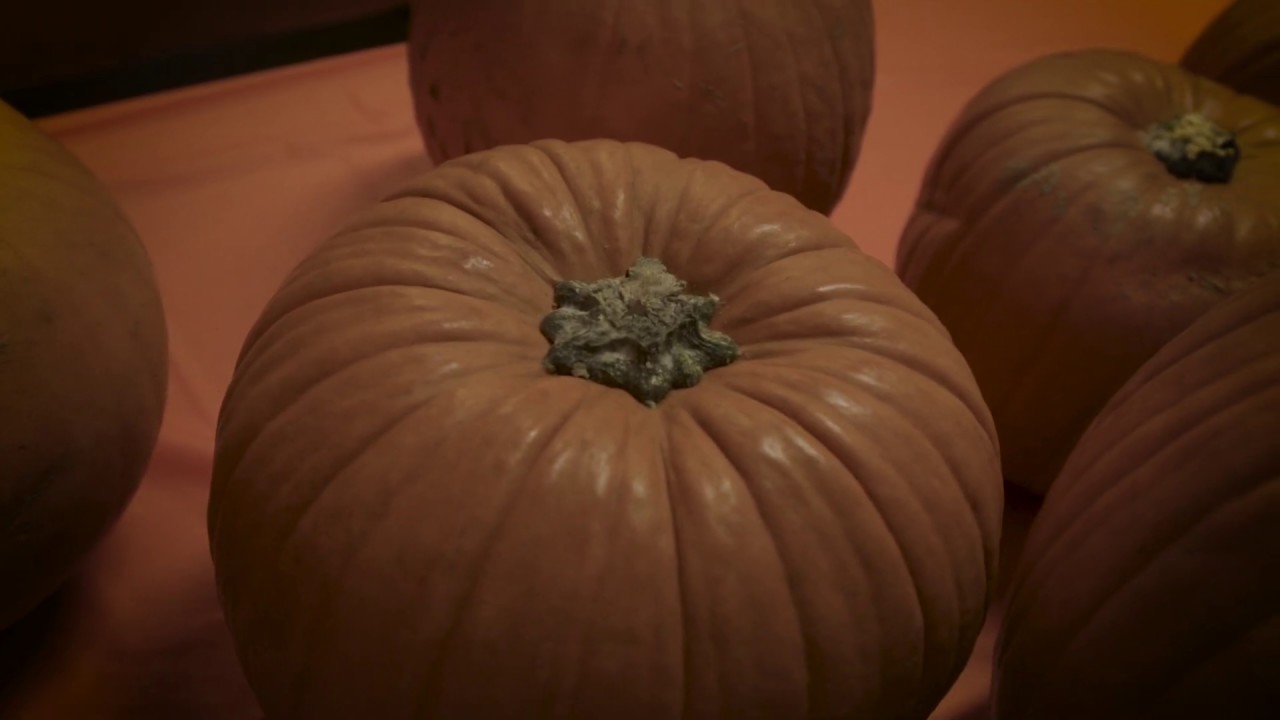 Single Marines Program Pumpkin Carving Contest