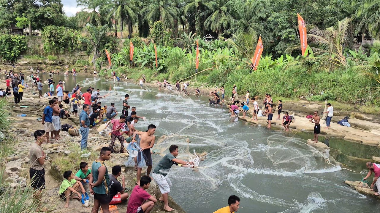 Keseruan Jala Ikan Rame-rame !!! Sungai ini Dipenuhi Ikan Mahseer !!! Tradisinal Fishing