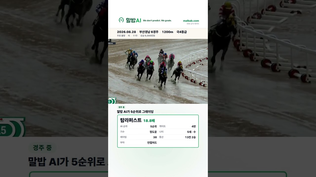 비 오는 부산, AI 5순위가 1착 18.8배 | 2026.08.28 부산경남 6경주 #경마 #경마분석 #서울경마 #고배당 #부산경마