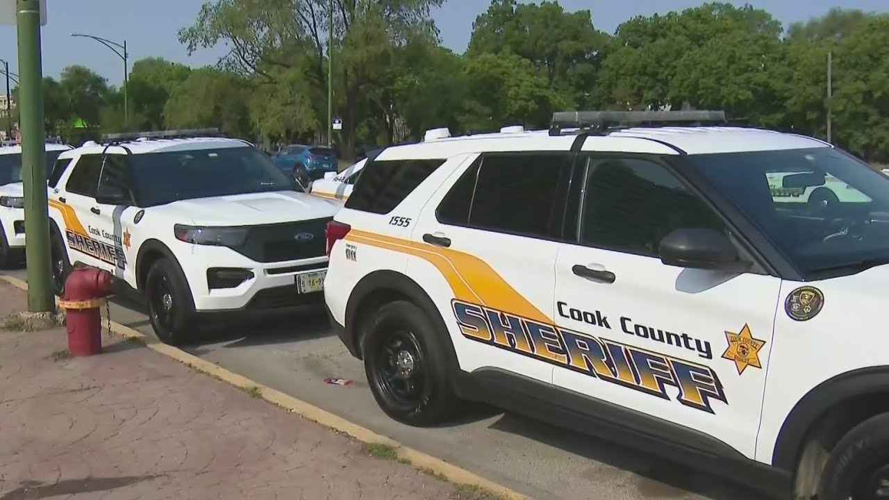 Cook Co. Sheriff pushes for national carjacking hotline