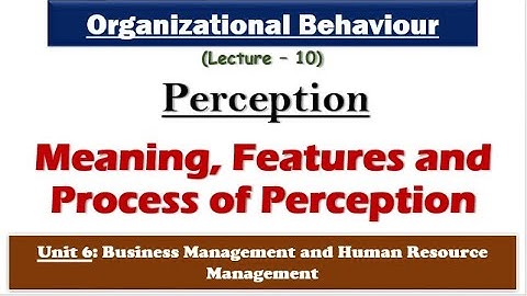 Meaning, Features and Process of Perception|Organisational Behaviour|Business mgt. & HRM|NTA-UGC NET