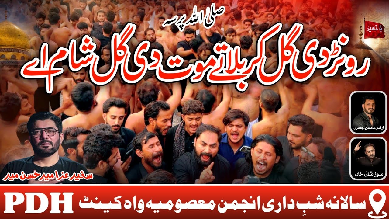 𝗥𝗼𝗻 𝗗𝗶 𝗚𝗮𝗹 𝗞𝗮𝗿𝗯𝗮𝗹𝗮 𝗧𝗲𝘆 𝗠𝗼𝘂𝘁 𝗗𝗶 𝗚𝗮𝗹 𝗦𝗵𝗮𝗺 𝗔𝗲𝘆 | PDH | Noha | Mir Hassan Mir | 5 Rabi ul Awal | Wahcant