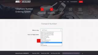 TollFree Number forwarding to VoIP Phones screenshot 5