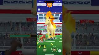 Pokémon Go - Level 3 Raid - Rapidash