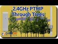 2.4GHz PTMP Through Trees