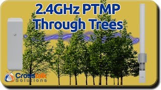 2.4GHz PTMP Through Trees
