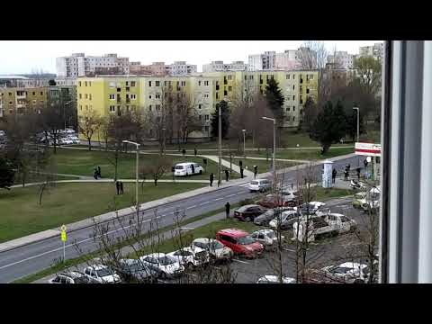 Korona vírus 