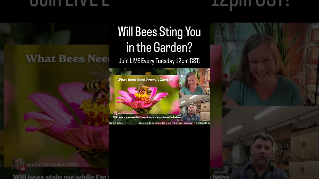 Uploads from From Seed to Spoon Garden Planning App