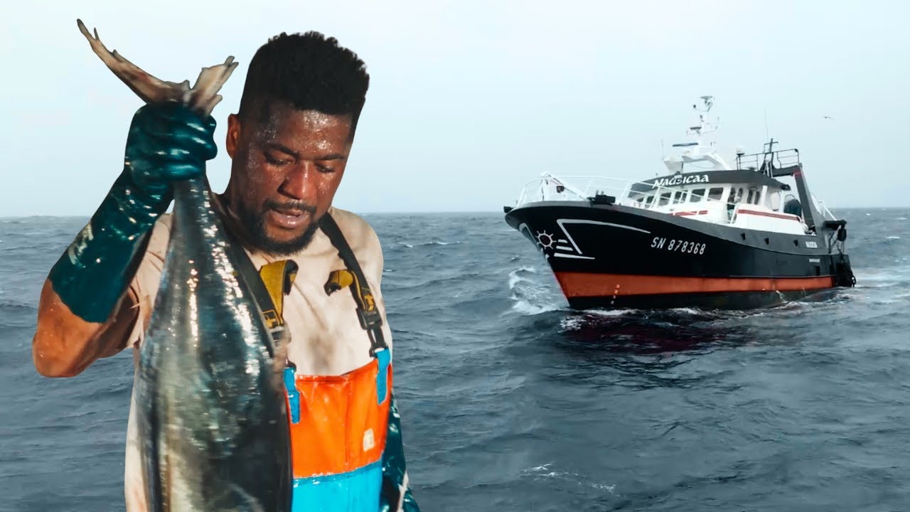 La Réalité méconnue de la Pêche au Thon