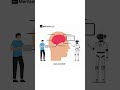 Merilsoft | AI &amp; Data