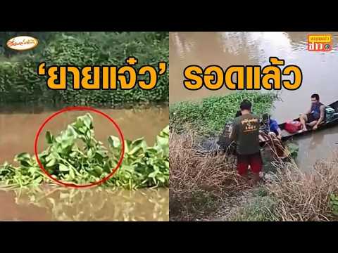 Thrilling Rescue! Elderly woman clings to water hyacinth drifting in river; lucky bystander spots...