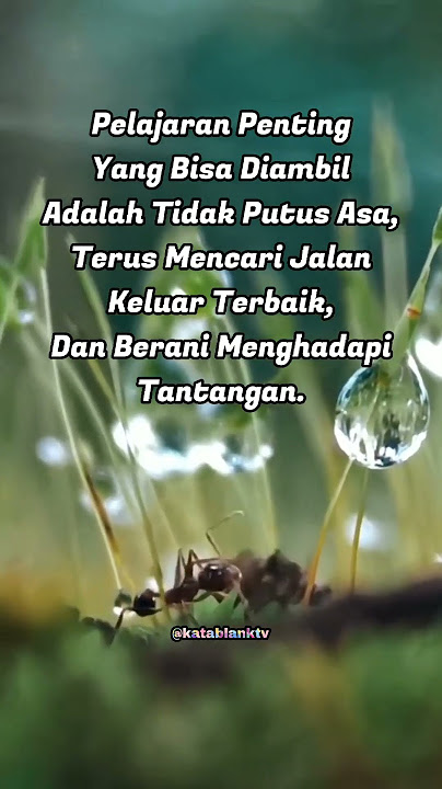 STORY WA TERBARU 2023 || STORY WA KEREN || TANTANGAN HIDUP || #motivasi #katabijak #story #storywa