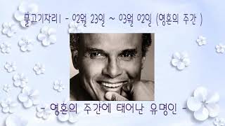 48개별자리쪼개기 디테일03물고기1~물고기양까지