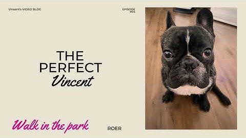 The Perfect Vincent. Episode #4. Walk in the park
