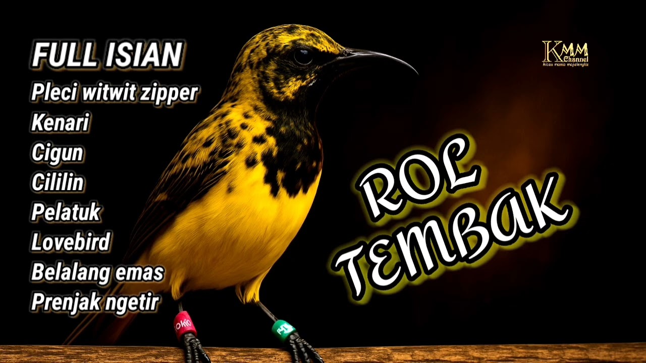 Kombinasi ROL TEMBAK‼️ Masteran sogon full isian mewah