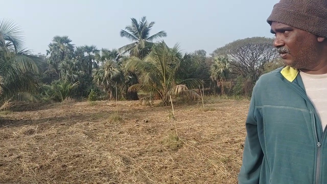 ನವಧಾನ್ಯಗಳ ಹಸಿರೆಲೆ ಗೊಬ್ಬರದಿಂದಾದ ಮಣ್ಣಿನ ಪರಿವರ್ತನೆ : ರೈತ ಮಿತ್ರ ಚಂದ್ರಶೇಖರ ರೆಡ್ಡಿಯವರ ಅನುಭವ.