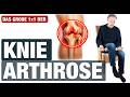 Kniearthrose Verstehen Und Lindern Die Einfachsten Übungen Für Jeden Tag Kniearthrose Verstehen Und Lindern Die Einfachsten Übungen Für Jeden Tag