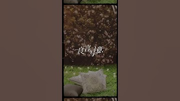 Tiktok Lương Ngôn Tả Ý // Trình Tiêu & La Vân Hy