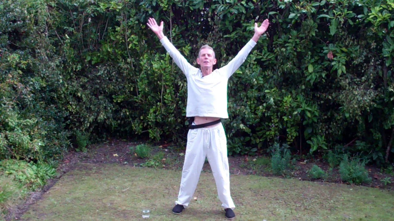 QI GONG UNCUT! Exercise 4 "CLEANING THE CELLS" YouTube