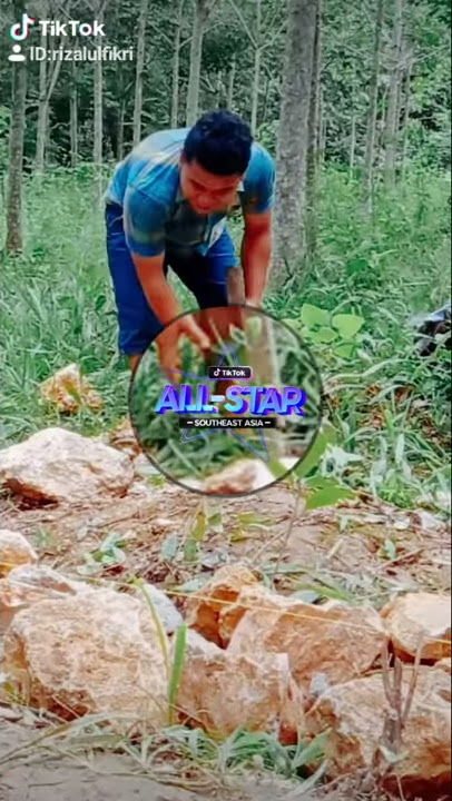 Tik tok sakit pinggang viral