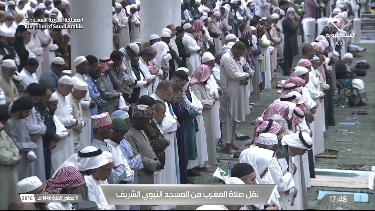 صلاة المغرب للشيخ محمد برهجي 11 جمادى الآخرة 1446هـ