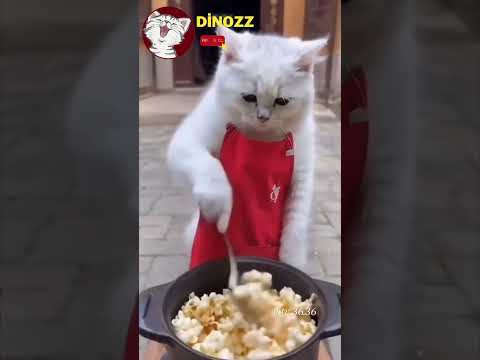 Yapay zeka ile