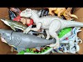 Hunting Jurassic World Toy Dinosaur Collection ASMR