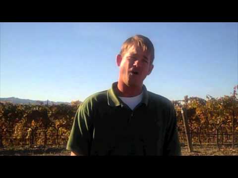 Harvest Interview with Ryan Hebert of Tablas Creek...