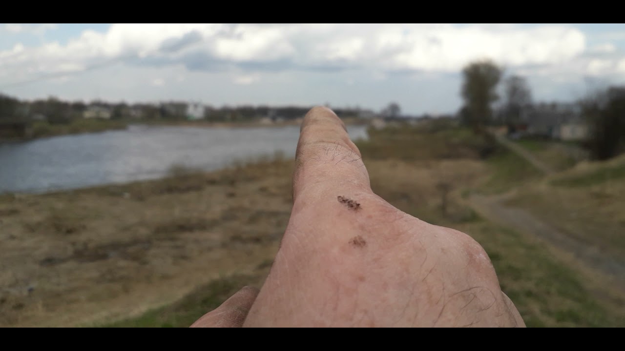 Замена датчика скорости газель 2705 умз 4216 евро 3. - YouTube