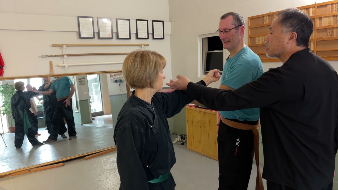 Arts martiaux internes - Xingyi Quan & Taichi Chuan - éviter le bousculade