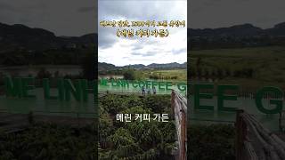 베트남 달랏, 메린커피가든 #미스터리여차캠