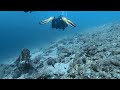 Dive With Me – Swimming Past a Sunken Skeleton 👀🦴