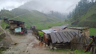 The Most Peaceful Yet Very Tough Daily Activity of  Nepali Mountain Village Life In The Rain