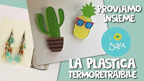 Qual è la plastica termoretraibile?