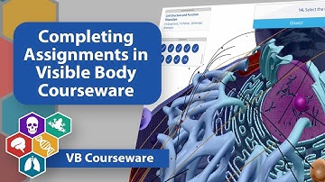 Completing Assignments in Visible Body Courseware