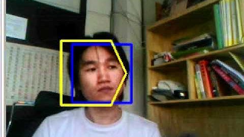 Multi View face detection alone