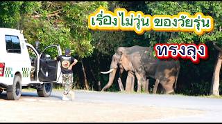 ลุงงาเดียว พี่ชายของพลายเดี๋ยวหลับ