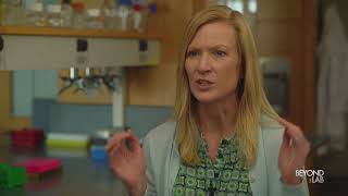 Beyond The Lab: Amy Halseth, PhD