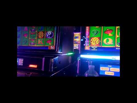 Te quiero - Dogmma Casino Life 16/04/16