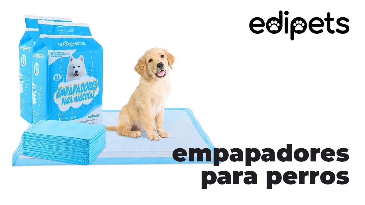 Edipets - Empapadores para perros desechables, Varios tamaños 40 60 x 90 cm