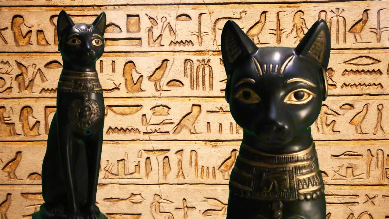 В египте поклонялись кошкам. Древние кошки Египта. Кошка Египетская fmbcbycrfz. Храмовые кошки Египта. Священная кошка в древнем Египте.